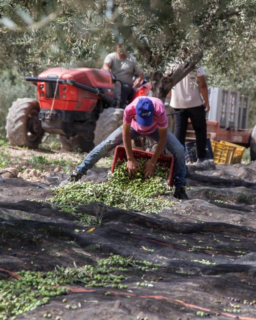 Azienda Agricola Mandranova Vendégház Palma di Montechiaro Kültér fotó