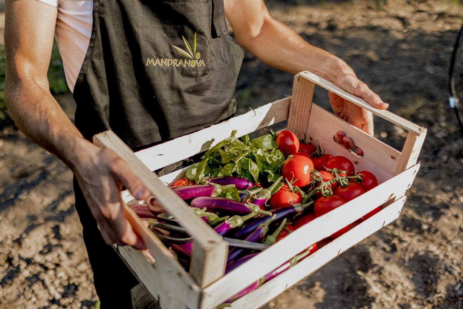 Azienda Agricola Mandranova Palma di Montechiaro Kültér fotó