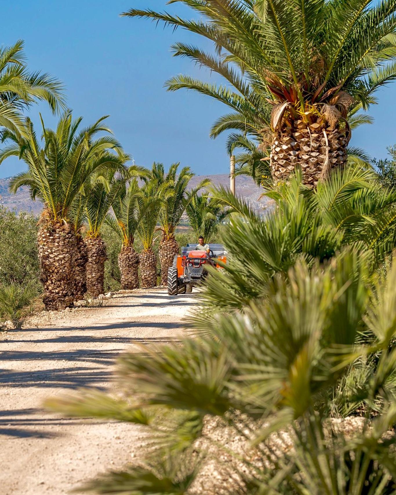 Azienda Agricola Mandranova Vendégház Palma di Montechiaro Kültér fotó